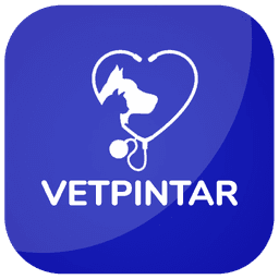 VetPintar - Software Manajemen Klinik Hewan